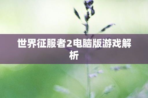 世界征服者2电脑版游戏解析图片