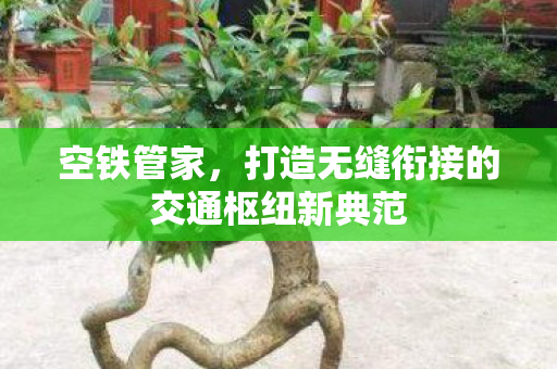 打造无缝衔接的交通枢纽新典范图片