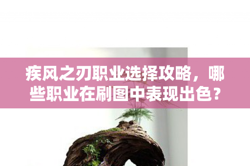 哪些职业在刷图中表现出色图片