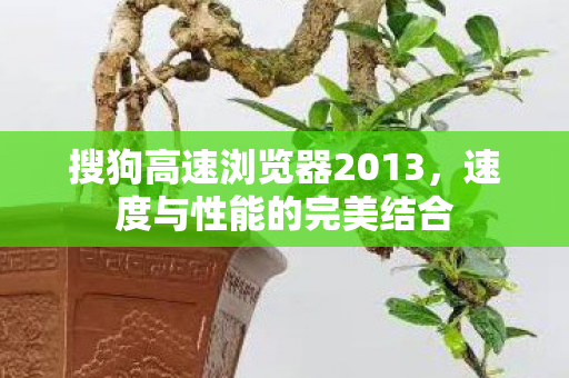 搜狗高速浏览器2013图片