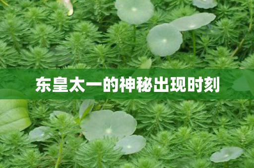 东皇太一的神秘出现时刻 东皇太一的神秘出现时刻