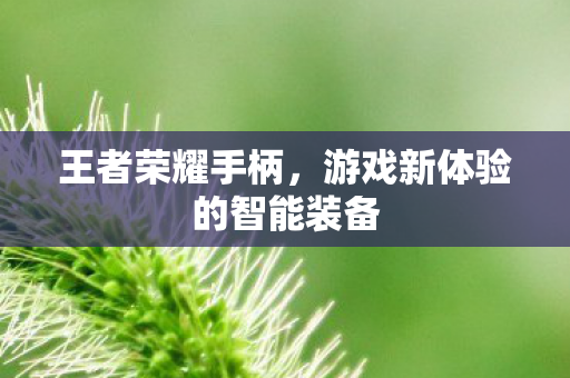 王者荣耀手柄，游戏新体验的智能装备