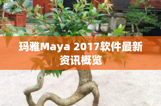 玛雅Maya 2017软件最新资讯概览图片