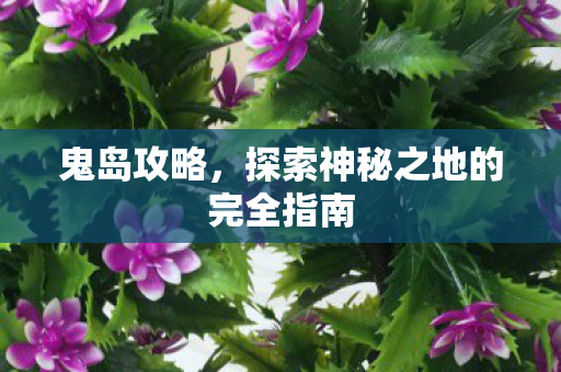 探索神秘之地的完全指南图片