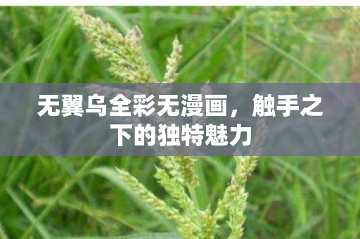 触手之下的独特魅力图片