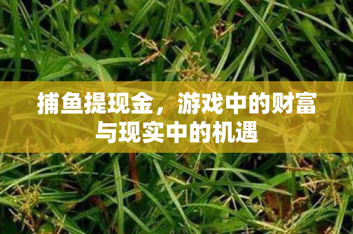 游戏中的财富与现实中的机遇图片