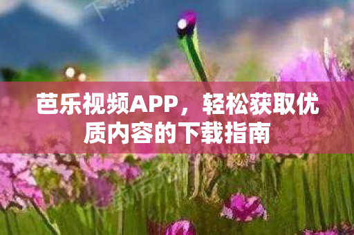 轻松获取优质内容的下载指南图片