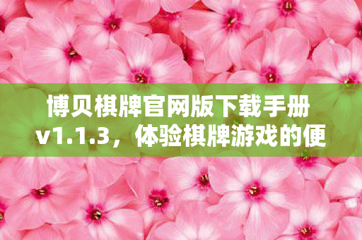 博贝棋牌官网版下载手册 v1图片