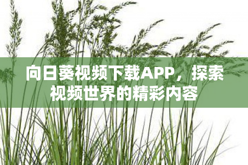 向日葵视频下载APP,探索视频世界的精彩内容 向日葵视频下载APP,探索视频世界的精彩内容