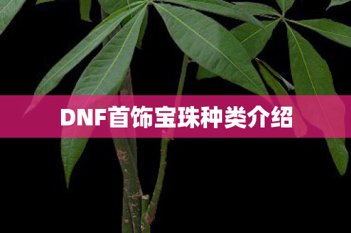 DNF首饰宝珠种类介绍图片