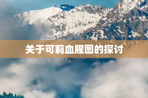 关于可莉血腥图的探讨