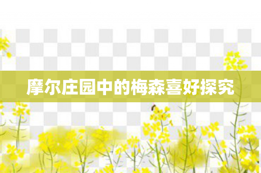 摩尔庄园中的梅森喜好探究 摩尔庄园中的梅森喜好探究