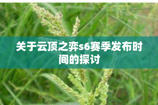 关于云顶之弈s6赛季发布时间的探讨