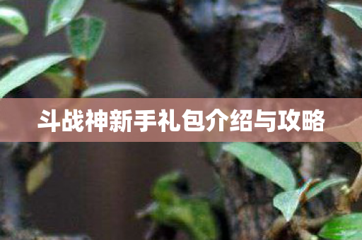 斗战神新手礼包介绍与攻略图片