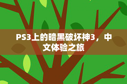 PS3上的暗黑破坏神3图片