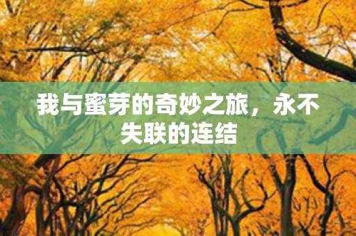 我与蜜芽的奇妙之旅，永不失联的连结