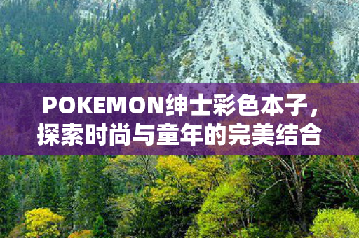POKEMON绅士彩色本子图片