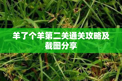 羊了个羊第二关通关攻略及截图分享图片