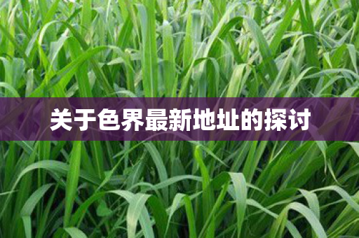 关于色界最新地址的探讨图片
