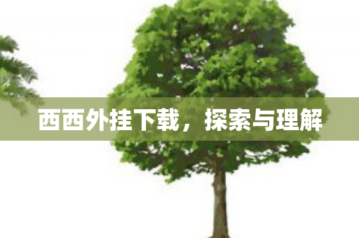 西西外挂下载图片