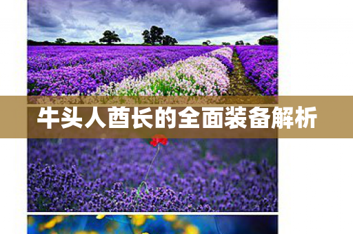 牛头人酋长的全面装备解析图片