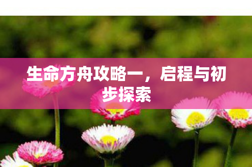 生命方舟攻略一图片