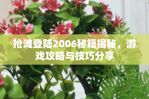 抢滩登陆2006秘籍揭秘图片