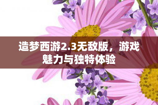 游戏魅力与独特体验图片
