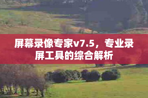 专业录屏工具的综合解析图片