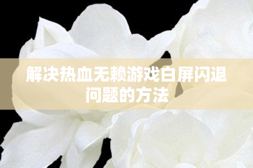 解决热血无赖游戏白屏闪退问题的方法图片