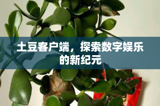 探索数字娱乐的新纪元图片