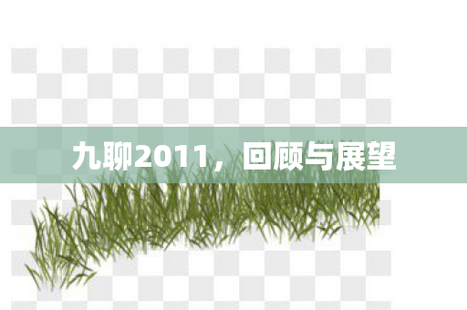 九聊2011图片