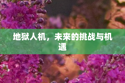 未来的挑战与机遇图片