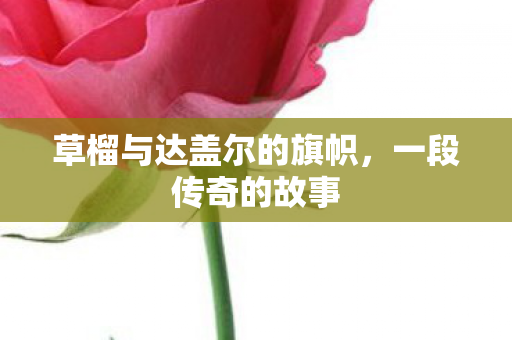 草榴与达盖尔的旗帜图片