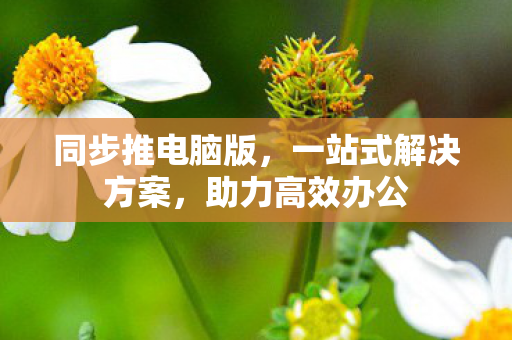 一站式解决方案图片
