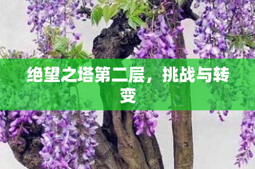 绝望之塔第二层图片