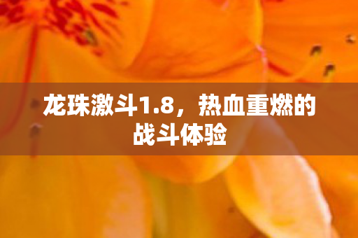 热血重燃的战斗体验图片
