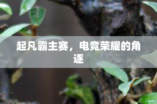 电竞荣耀的角逐图片