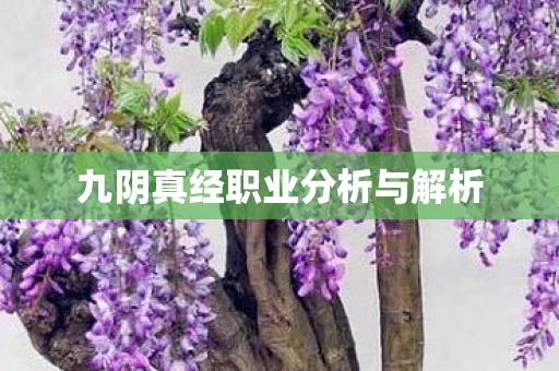 九阴真经职业分析与解析图片