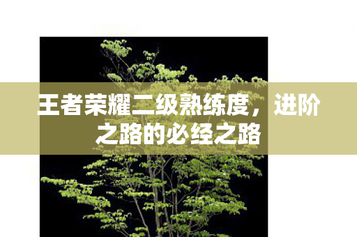 王者荣耀二级熟练度图片