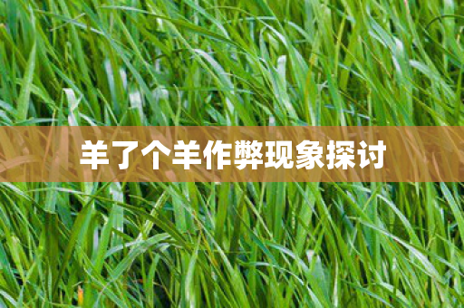 羊了个羊作弊现象探讨图片