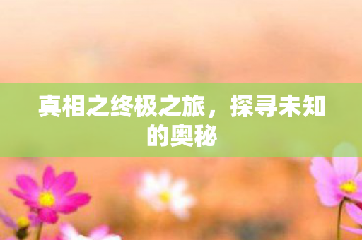 真相之终极之旅图片