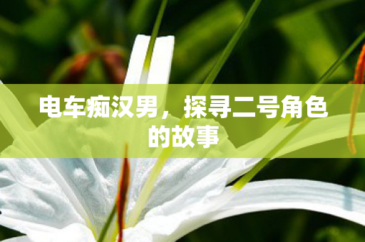 探寻二号角色的故事图片