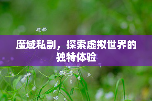 探索虚拟世界的独特体验图片
