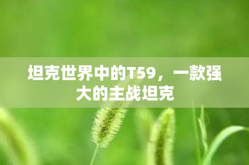 坦克世界中的T59图片