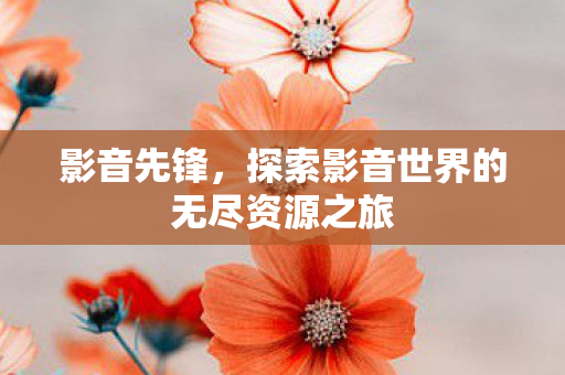 探索影音世界的无尽资源之旅图片