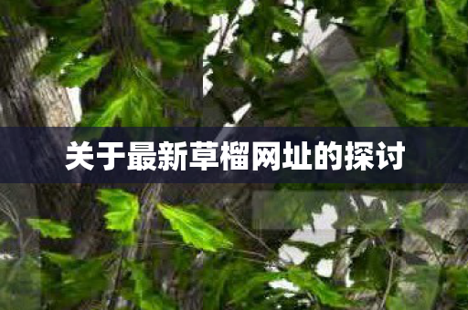 关于最新草榴网址的探讨图片
