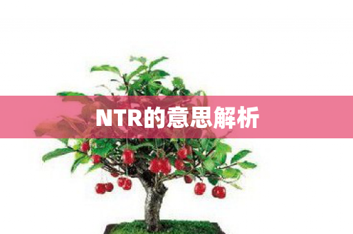 NTR的意思解析图片