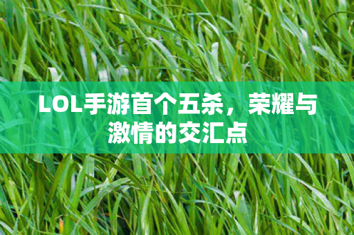 LOL手游首个五杀图片
