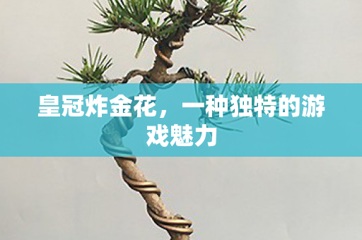 一种独特的游戏魅力图片